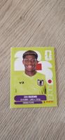 Fifa World Cup Panini JPN 2