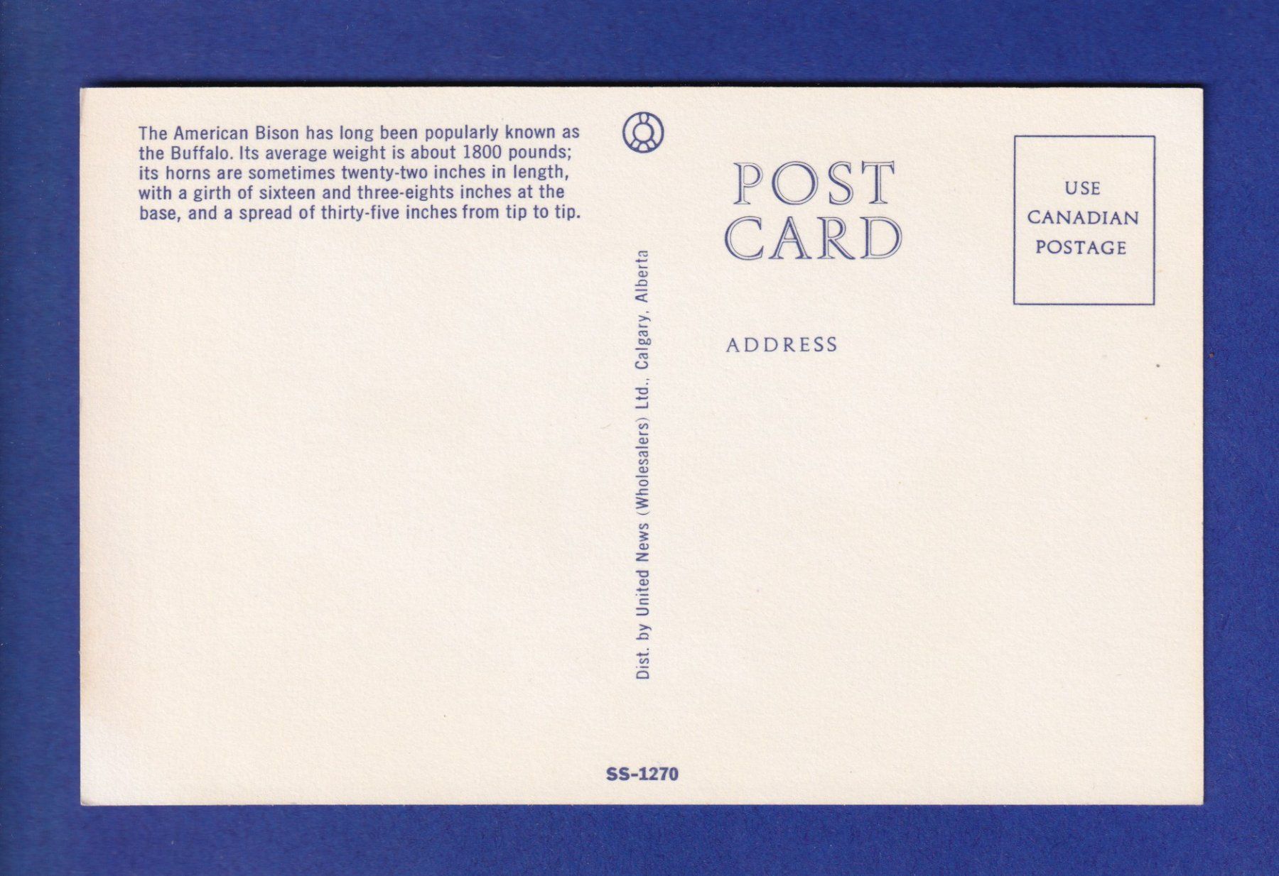 Cartoline postali: BISON – Usato da Pully venduto da nicecards-shop 1