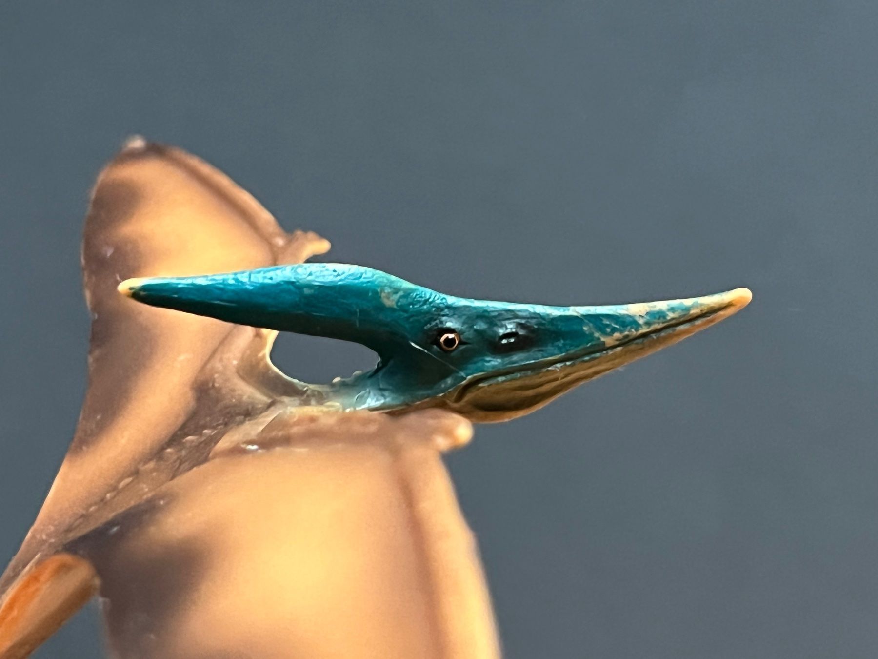 Schleich Figuren: Schleich 16416 Pteranodon Dinosaurier – Gebraucht aus Ennetbaden von mapa05 5