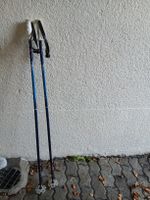 Skistock retro