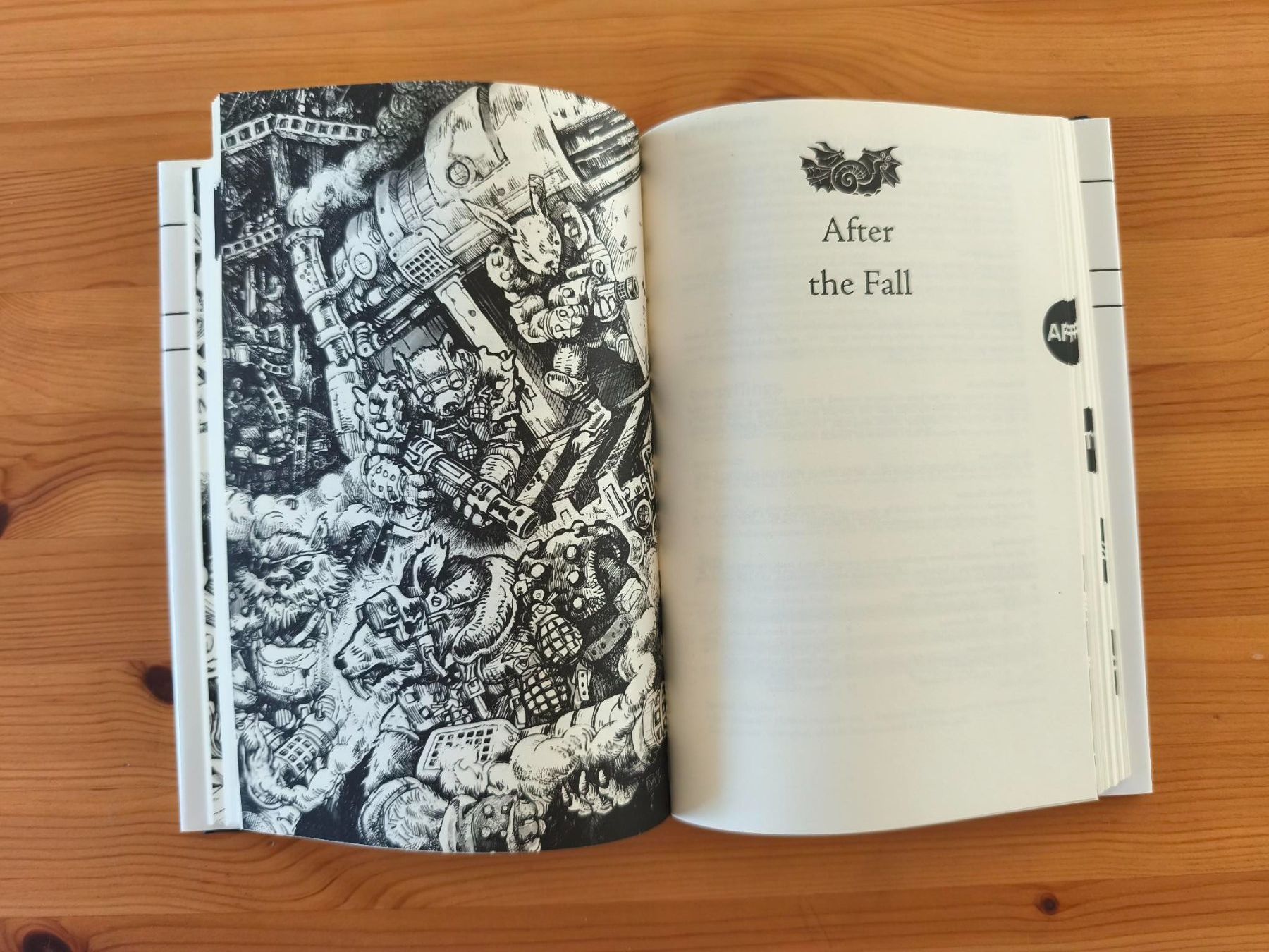 Bücher: Metamorphica - D&D TTRPG Book ofMutations & Transformations – Gebraucht aus Baar von IGN-Books 5