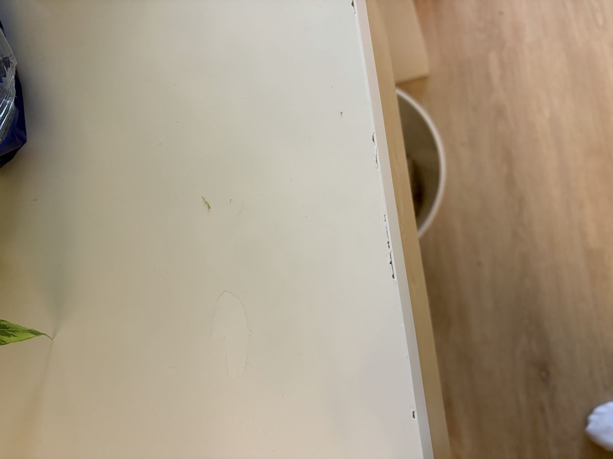 Ikea Scrivanie: Schreibtisch IKEA – Usato da Rütihof venduto da liv_k2bp 3