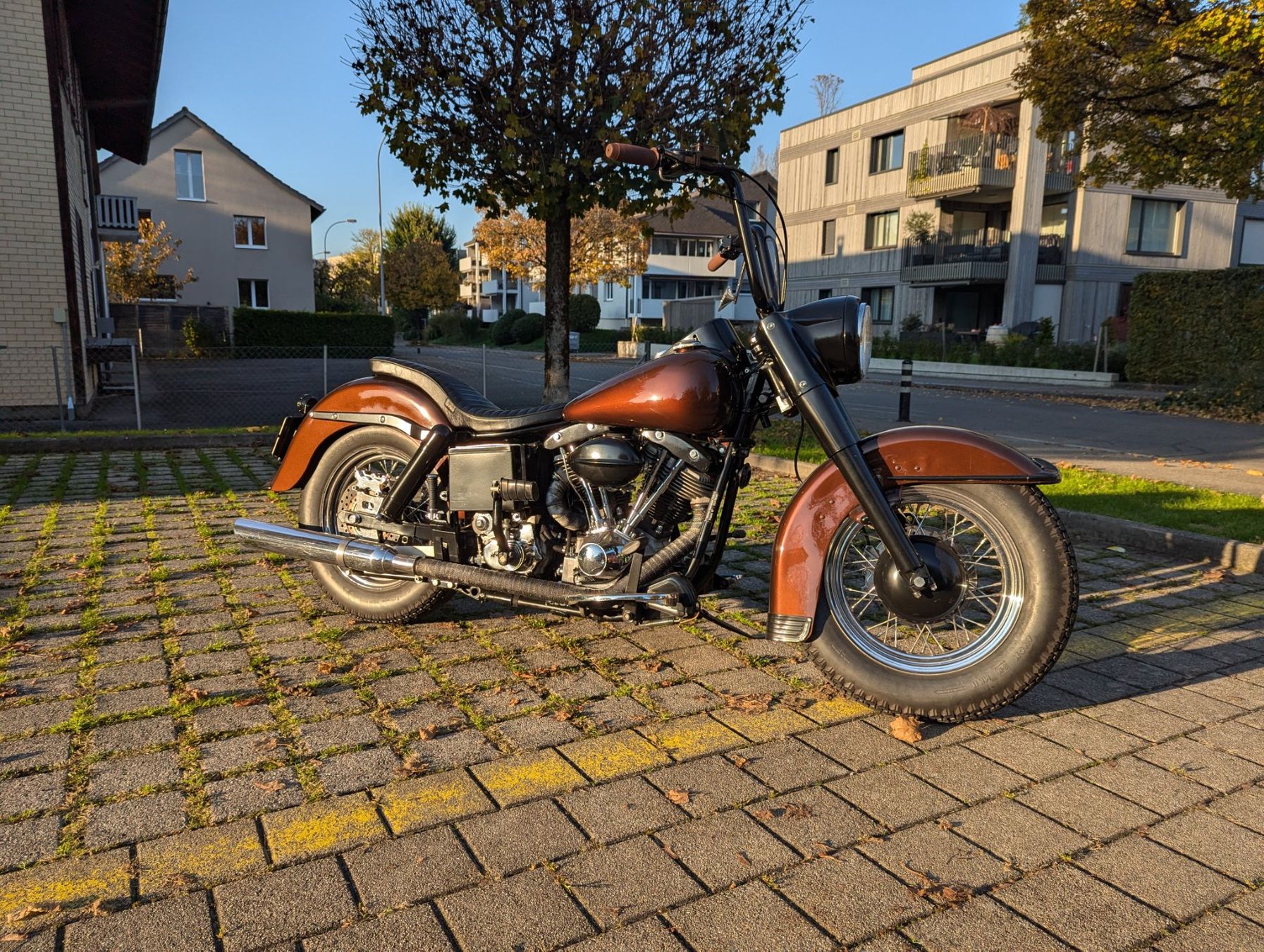 Harley-Davidson Chopper: Harley Davidson Shovelhead – Gebraucht aus Sursee von BODYROCK01