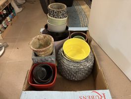 Selection of Flower Pots - Indoors or Outdoors! Great Buy!