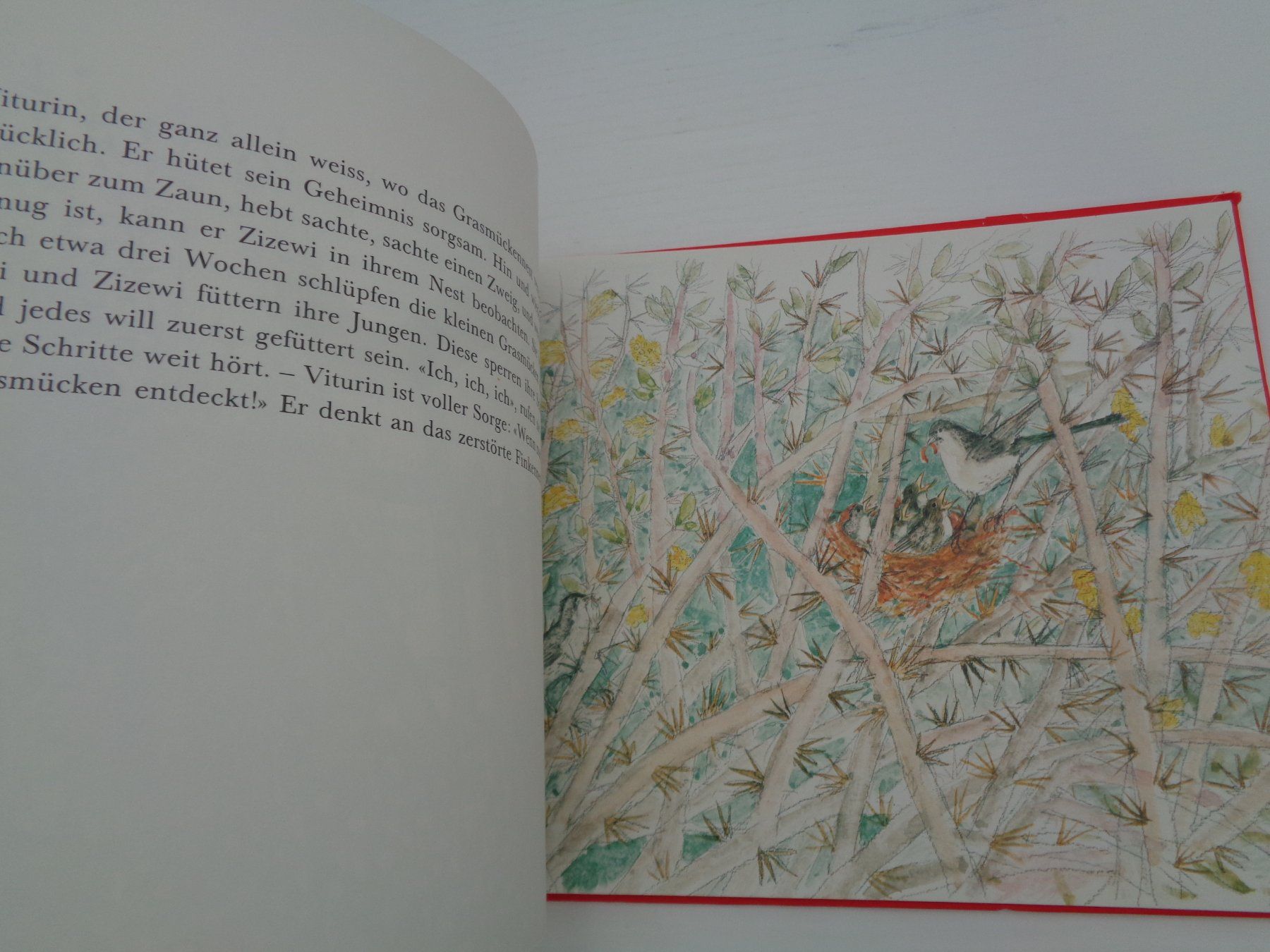 Libri: Birnbaum Birke Berberitze A. Carigiet – Usato da Chur venduto da Oregano1 3