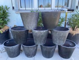 Blumentopf Pflanzentopf Pflanzengefäss Pflanzen Blumen Topf