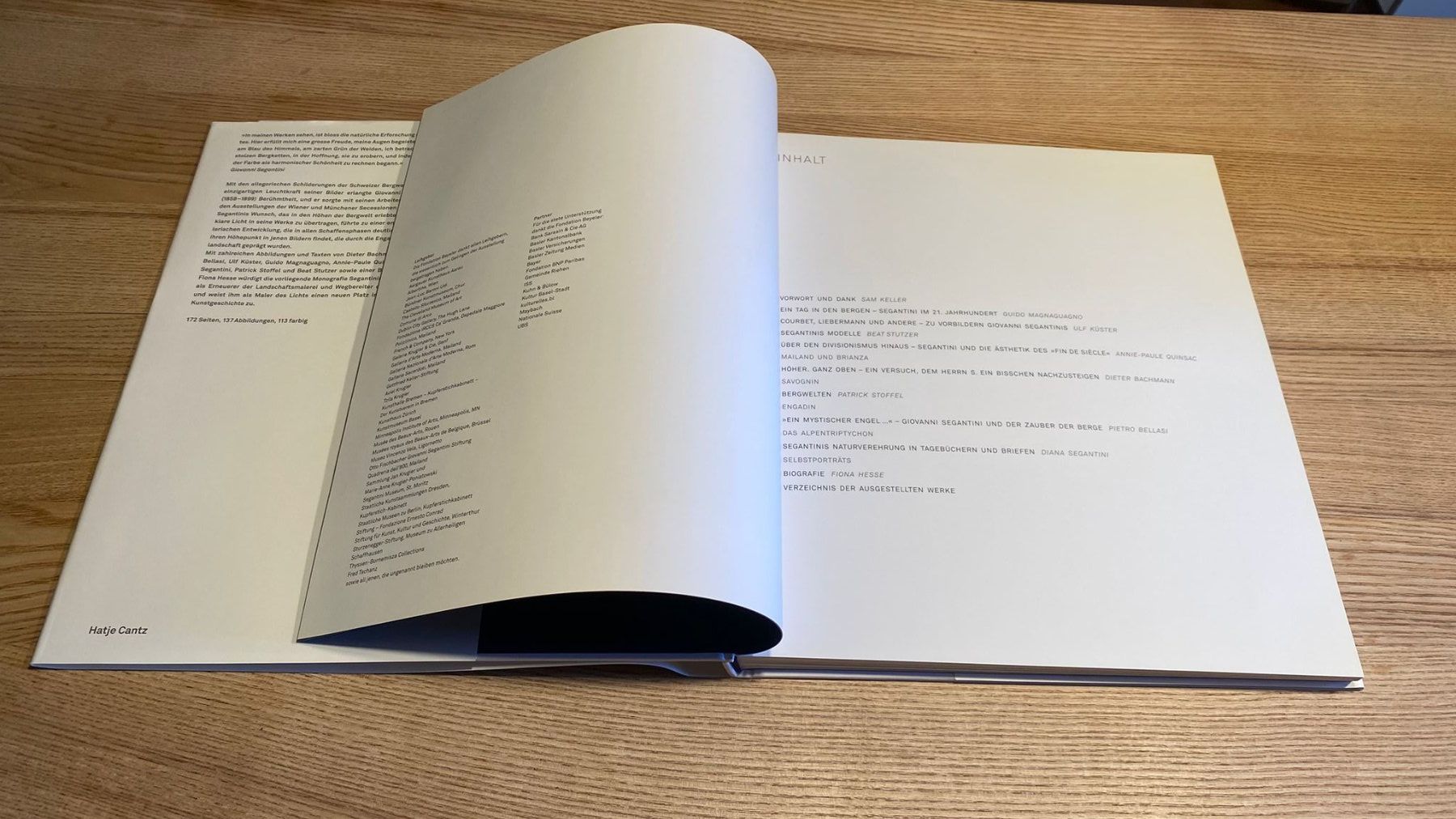 Libri: Kunstbuch von Segantini – Usato da Röschenz venduto da Tashroal 5