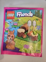 LEGO Friends Eichhörnchen und Lagerfeuer