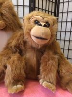 Peluche singe marron hauteur 30 cm bon état