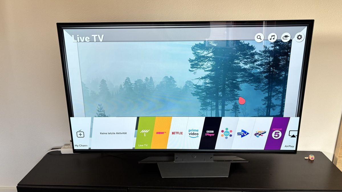 LG Televisori: LG OLED 4K 55Zoll TV – Usato da Heerbrugg venduto da Brickstore_Held