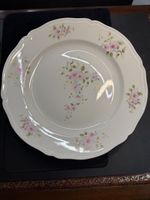 Vintage Limoges France Teller, Wandbild,Durchmesser