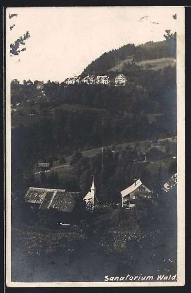 Cartoline postali: AK Wald, Blick auf das Sanatorium, 1921 – Usato da Berlin venduto da bartko-reher