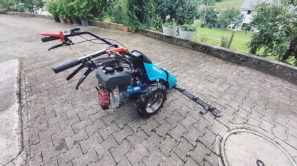 Tutte le macchine: BCS Motormäher – Usato da Ittenthal venduto da Wico1999 3