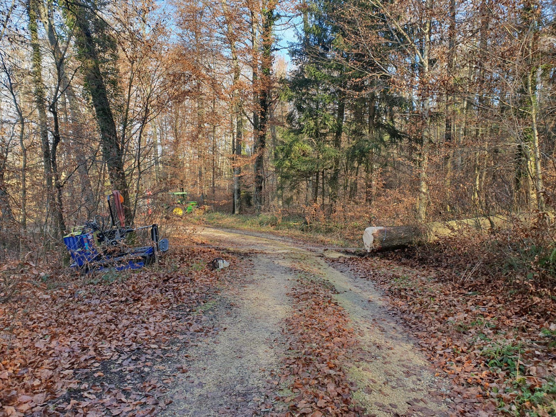 Argani forestali & Pinze posteriori : Raupenwinde Seilwinde – Usato da Brünisried venduto da puerrop 7