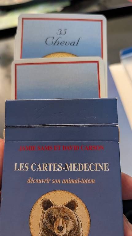 Libri: Les Cartes-Médecine Buch mit Karten – Usato da Ascona venduto da ArtRomantica 1