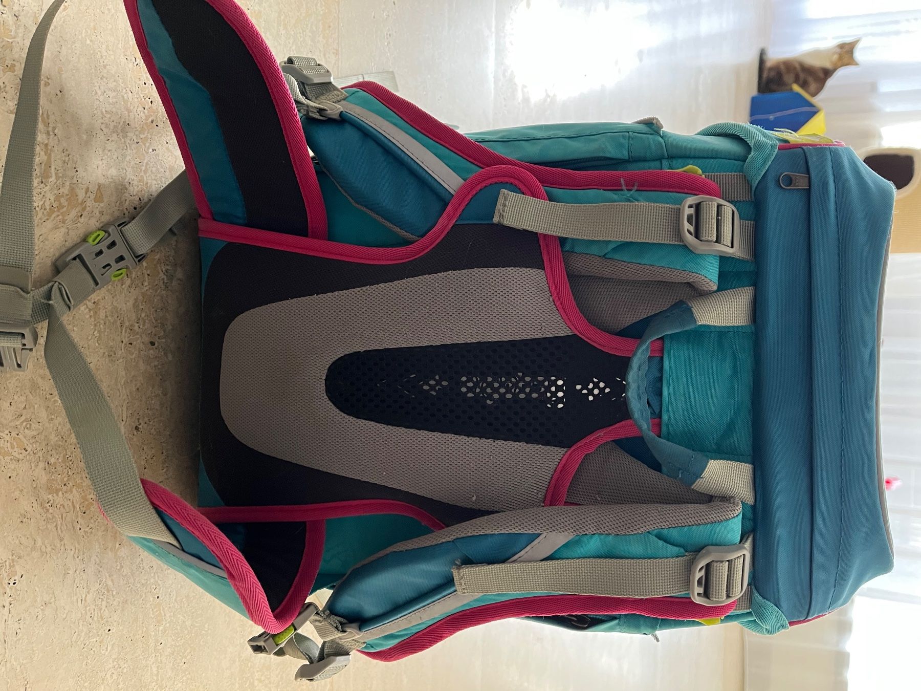 Ergobag Borse & Zaini: Schulrucksack Ergobag inkl. Turntasche – Usato da ettingen venduto da irenetscherrig 5