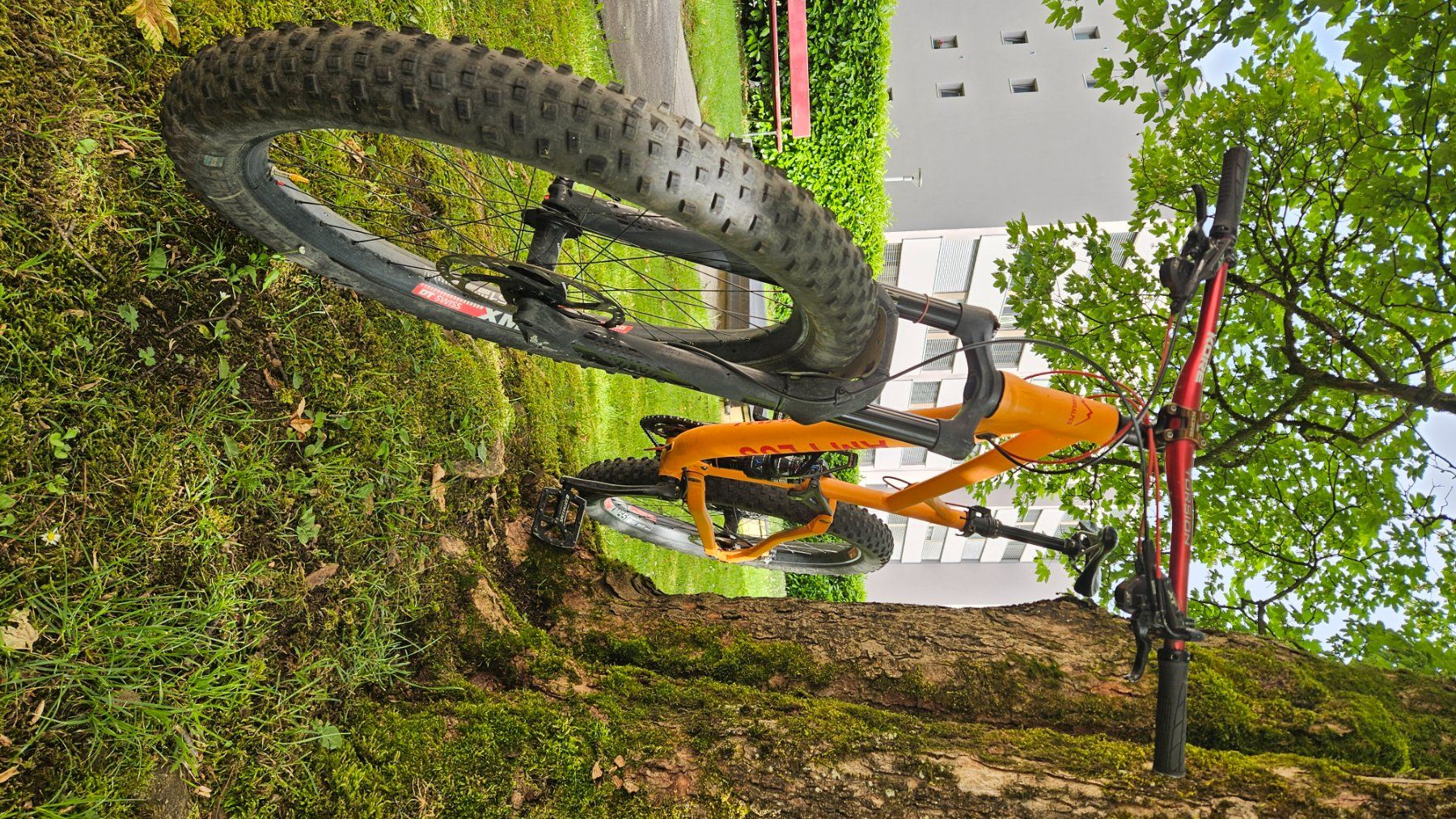Biciclette: Transalpes AM Plus – Usato da Cham venduto da ren_lh9z 3