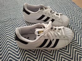 Adidas Superstar Schuhe, Gr. 35, Top Zustand, Kinder