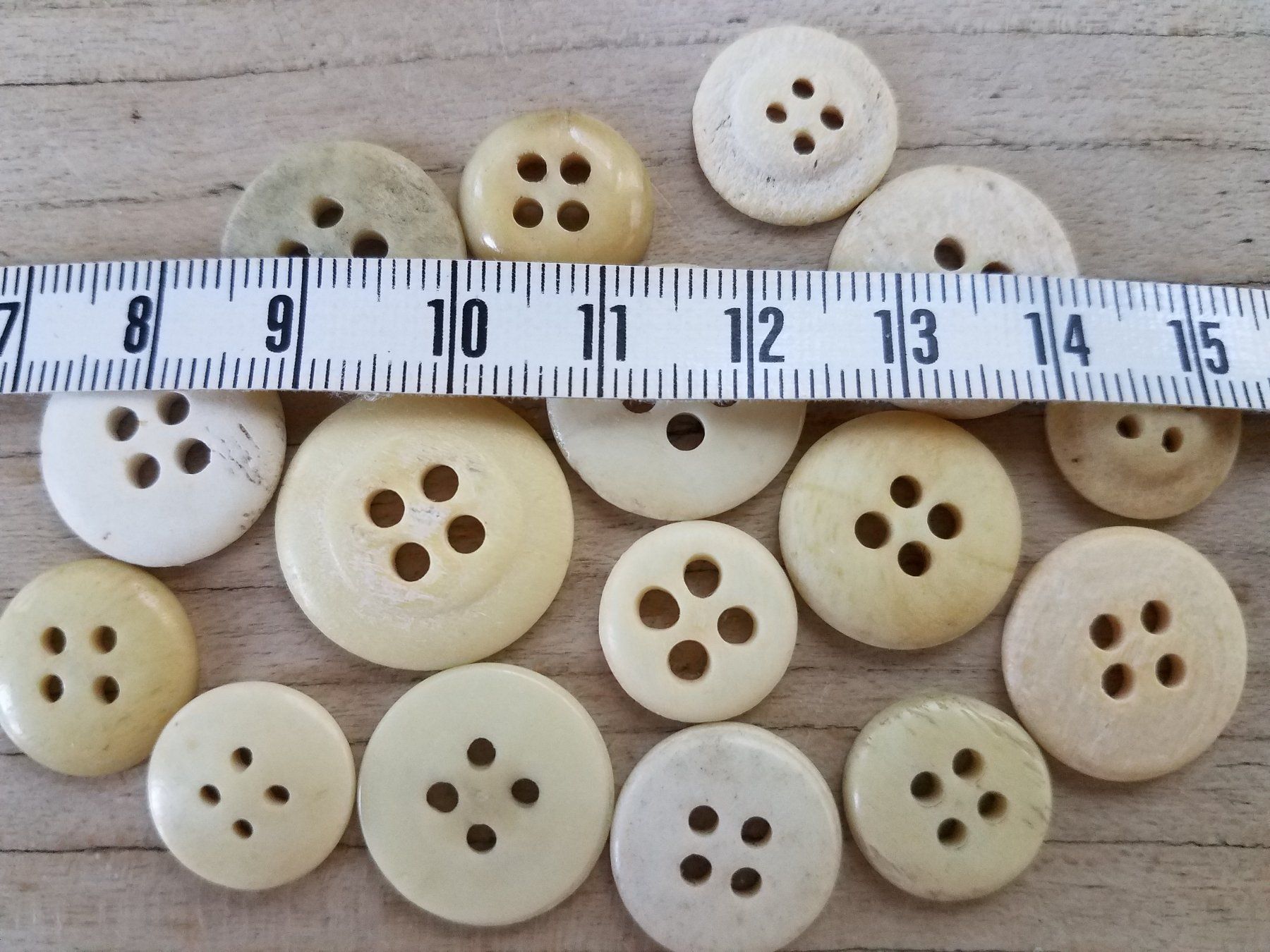 Bottoni: 16 antike Knochen Bein Knopf Knöpfe – Usato da Rorschacherberg venduto da Marubium 3