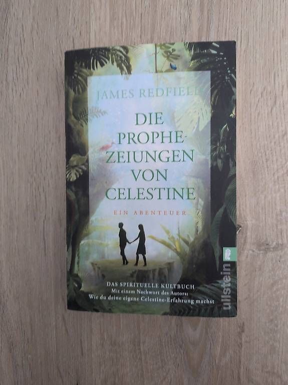 Libri: Die Prophezeiungen von Celestine – Usato da Oberengstringen venduto da dnzklm