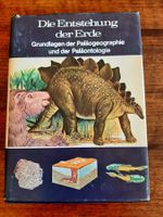 Die Entstehung der Erde