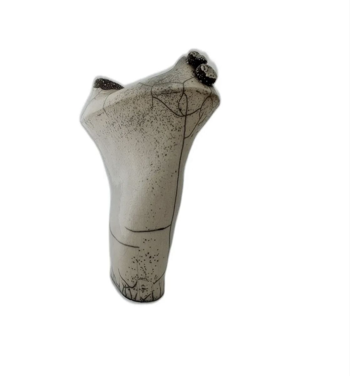 Vasi & Recipienti: Vaso corallo nero del mediterraneo – Nuovo (secondo la descrizione) da Savigny venduto da Althea0202