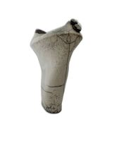 Vaso corallo nero del mediterraneo