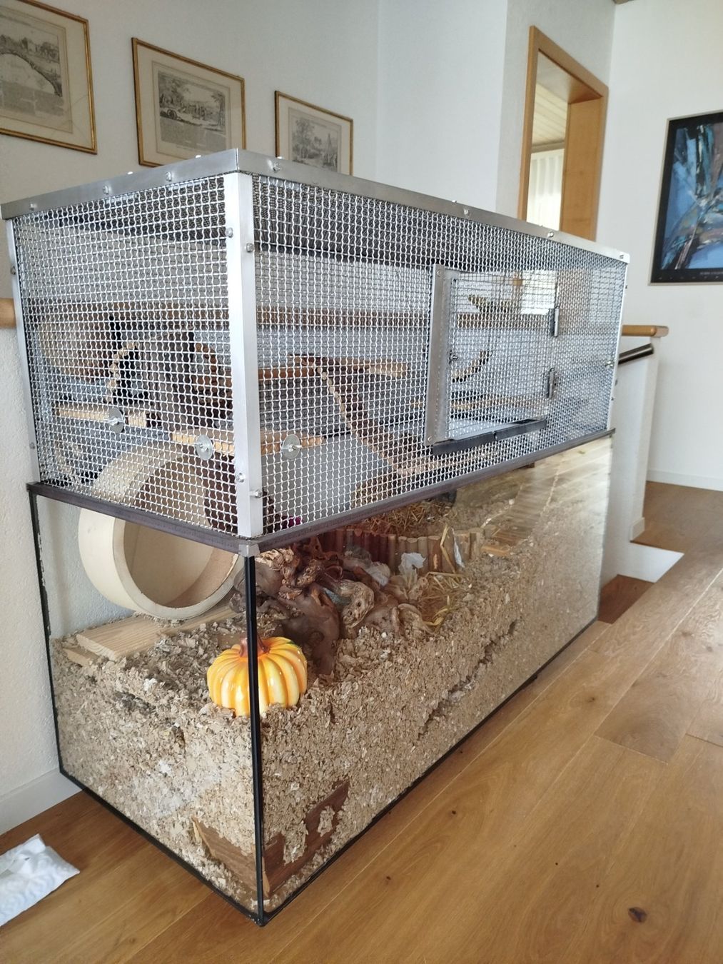 Terrariums: Nagarium – D'occasion à Einsiedeln par viv_2pgm 2