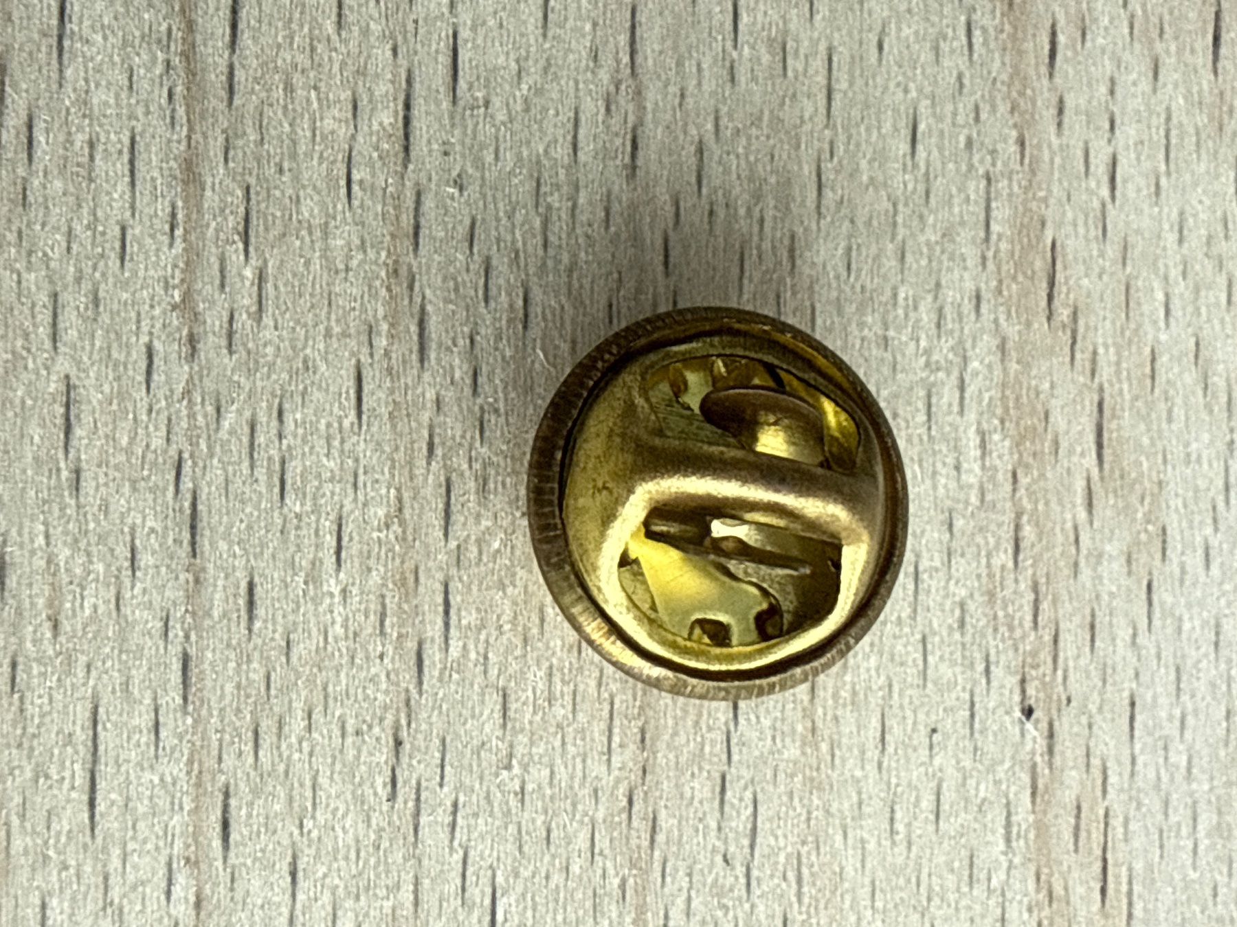Plaquettes & Badges: Pin Käfer – D'occasion à Glattbrugg par Schweigmatt 1