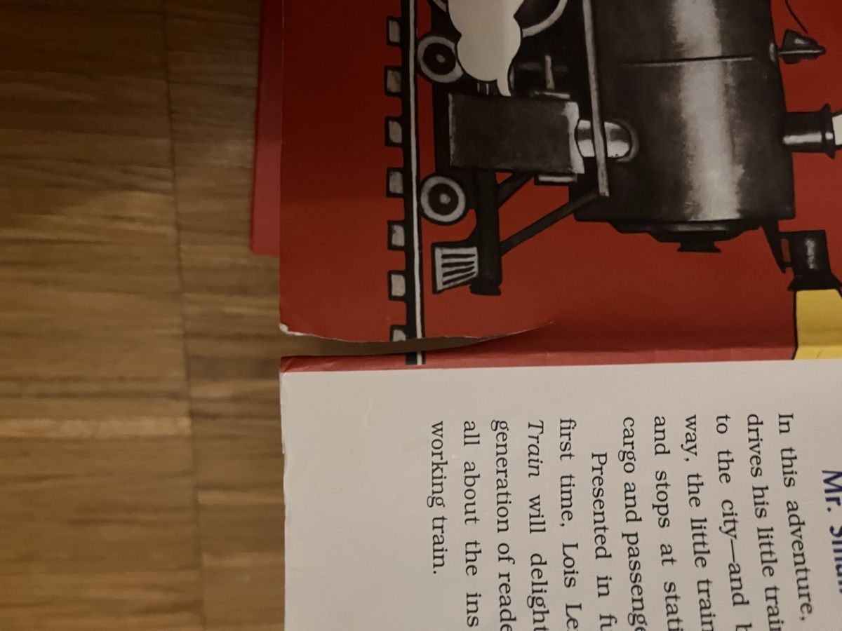 Libri: The Little Train by Lois Lenski – Usato da Uster venduto da dod_h6nw 2