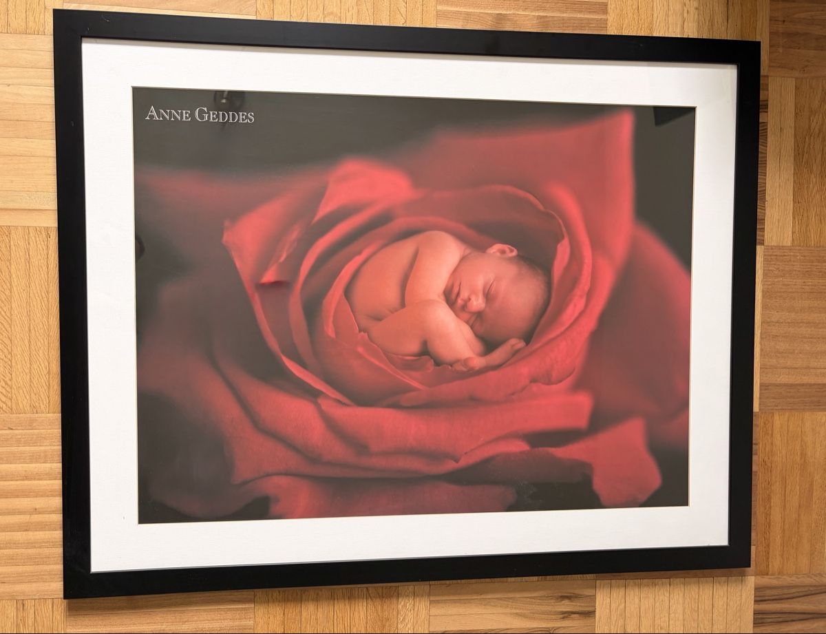 Poster & Bilder: Anne Geddes Bild mit Rahmen – Neu (gemäss Beschreibung) aus Baar von blackberry255