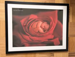 Anne Geddes Bild mit Rahmen
