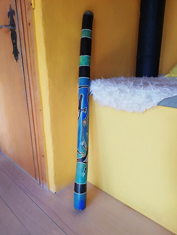Eukalyptus Didgeridoo (Dis) Kaufen auf Ricardo