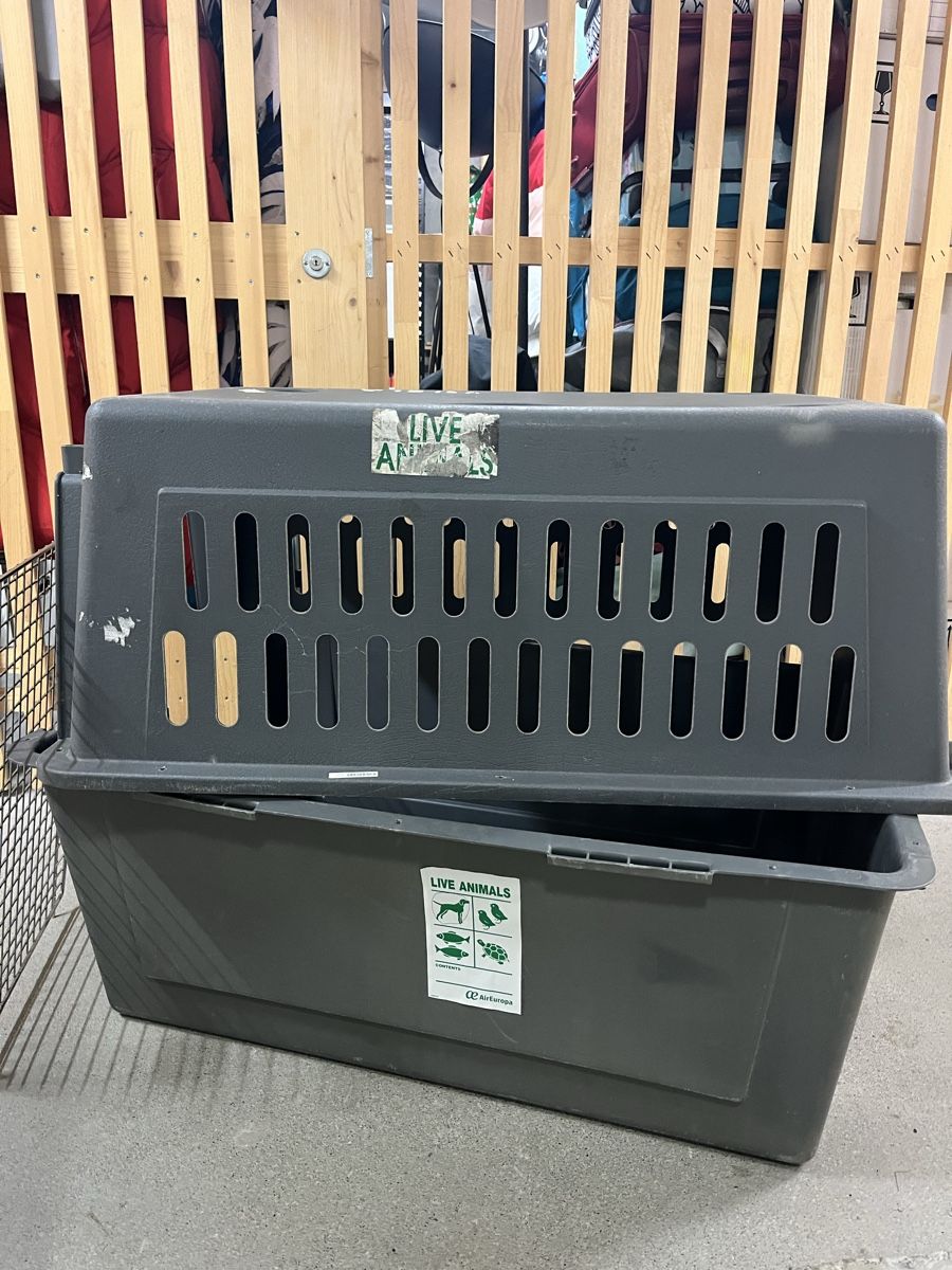 Liege- & Schlafplätze: Hunde Box gross – Gebraucht aus Küsnacht ZH von CatiaA