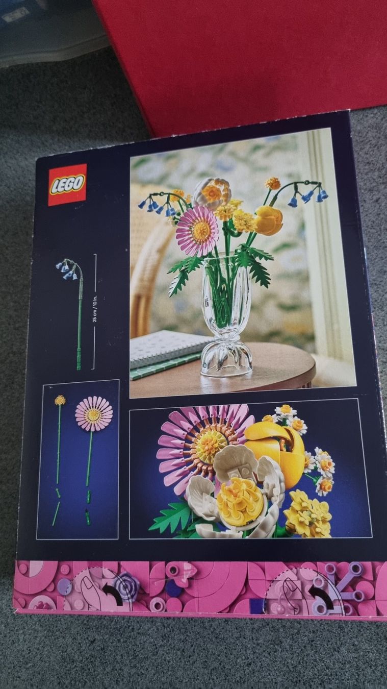 Lego Baukästen: Lego  BOTANICALS 10347 – Gebraucht aus La Chaux-de-Fonds von mikilo1 1