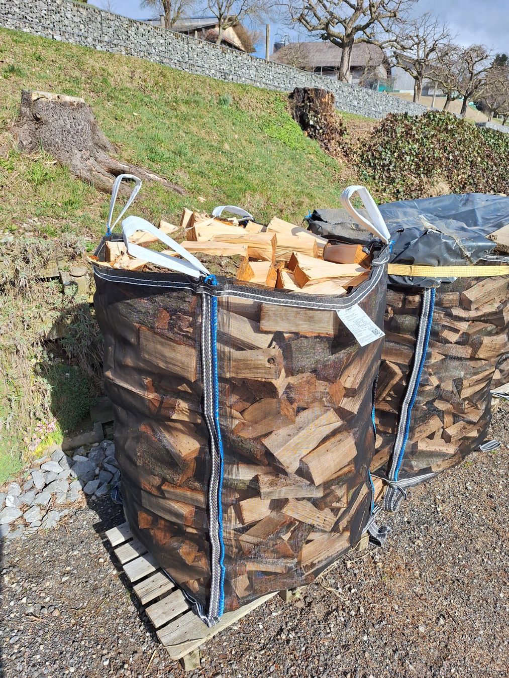 Articoli in legno: Erlen Brennholz 25cm – Usato da Ufhusen venduto da Caliban86