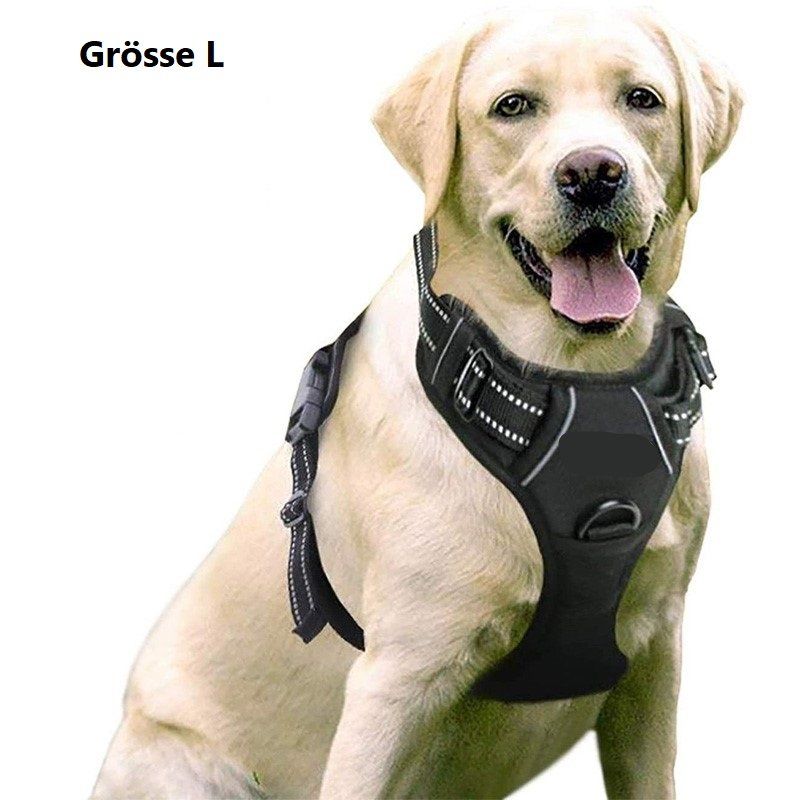 Leine & Halsband: EXA Hundegeschirr mit 2 Ringen - Grösse L – Neu und originalverpackt aus Werdenberg von EXA-Animal-World