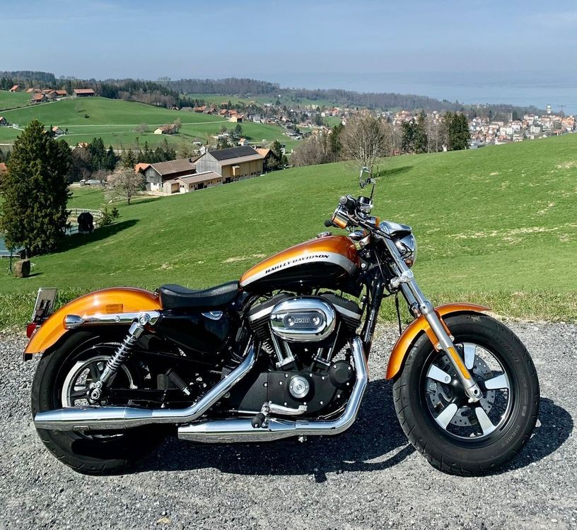 Harley Davidson Sportster 1200 Custom CA (+Jekyll & Hyde) Kaufen auf