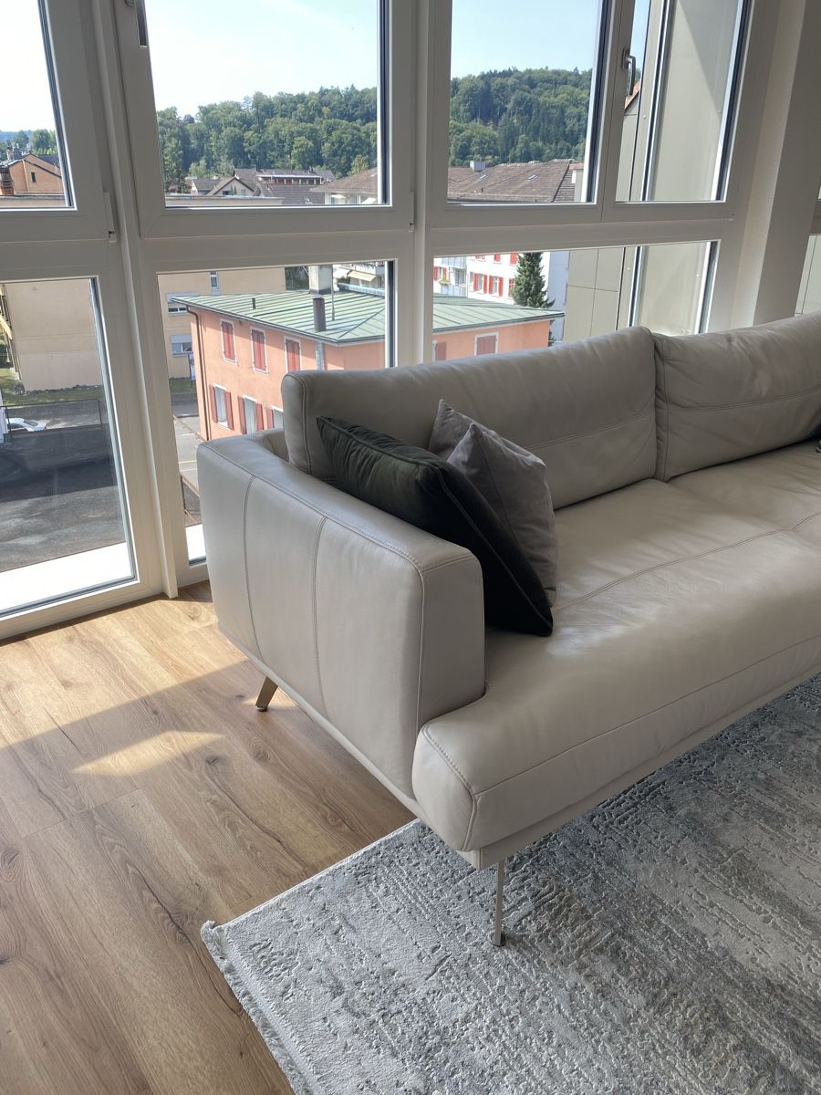 Sofas: Ledersofa in light gray – Gebraucht aus Winterthur von JasonHa 1