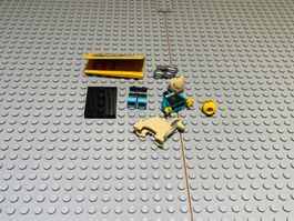Lego Series 25, Pet Groomer col435 - Neu