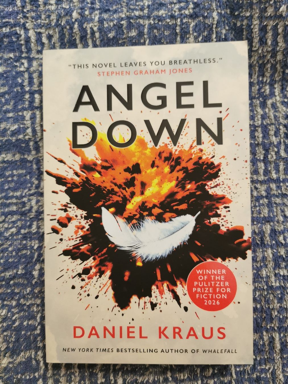Livres: Angel Down - Daniel Kraus – Neuf (Voir description) à Bern par cam_b7ts