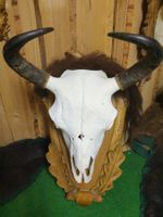 Trophäe auf Holz