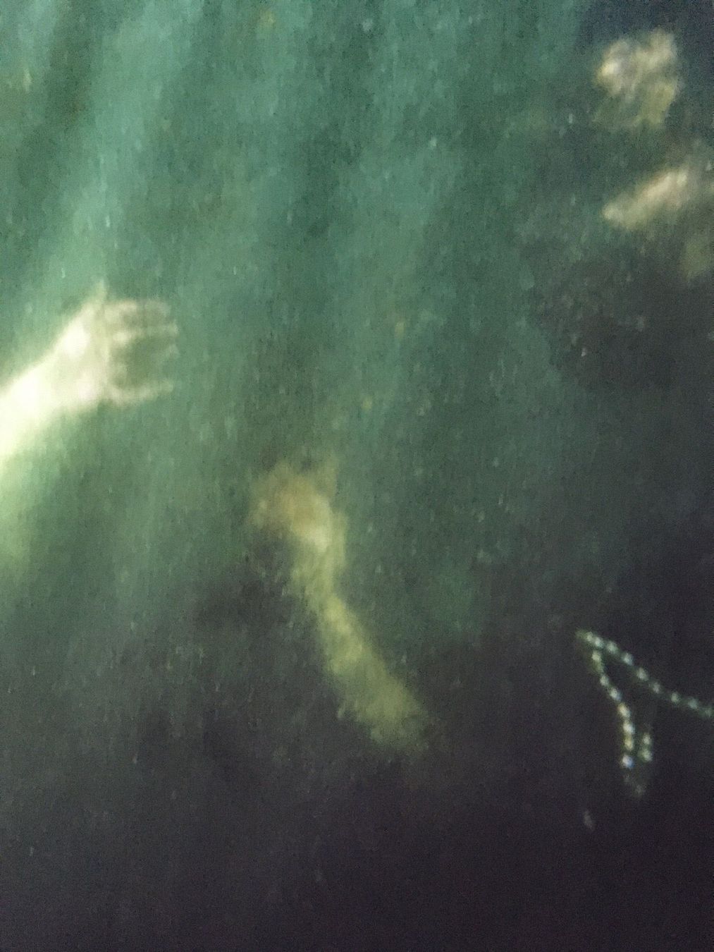 Foto & Immagini: Stoffbild Wassernixen Perlen Rosen See – Nuovo (secondo la descrizione) da Kreuzlingen venduto da Muschel64 5