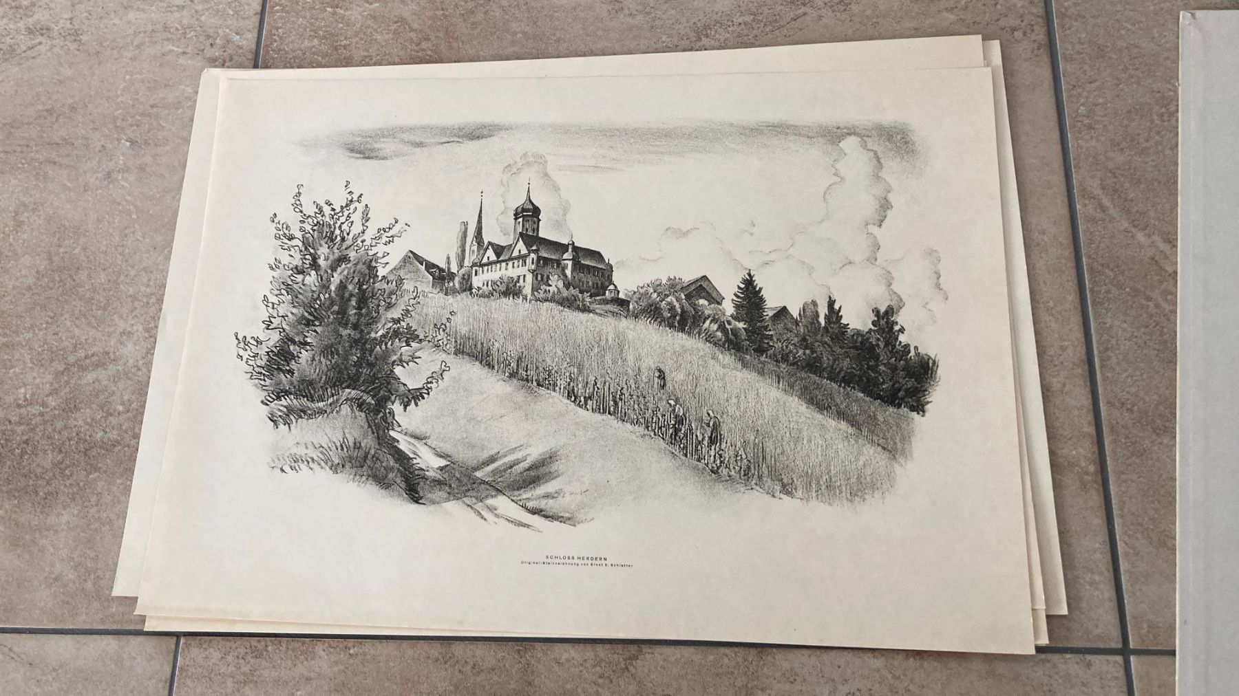 Grafica & Litografie: 12 Originallithographien Kt.Thurgau von Emil E. Schlatter – Usato da Rümlang venduto da Funkey3 6
