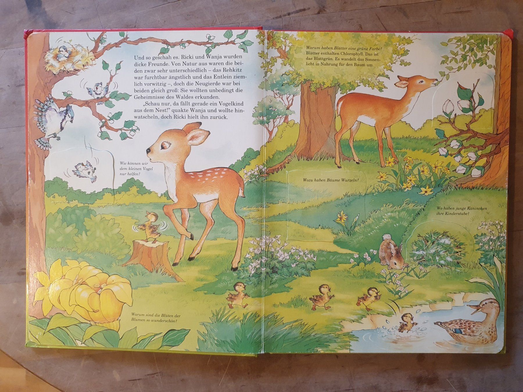 Libri: Der geheimnissvolle Wald – Usato da Zürich venduto da loosebone 1