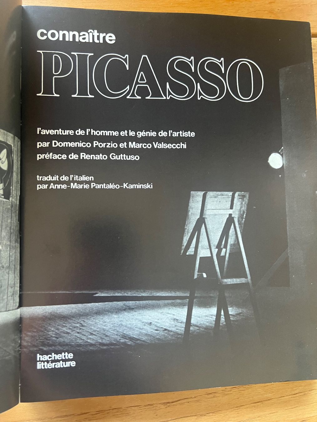 Libri: Rare : livre Picasso 1974 – Usato da Lugnorre venduto da jul_lnh6 2