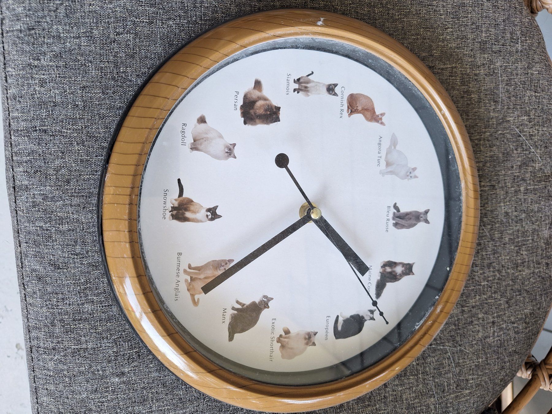 Orologi da terra & Orologi da parete: Pendule – Nuovo (secondo la descrizione) da Kloten venduto da flo_r5hm 4