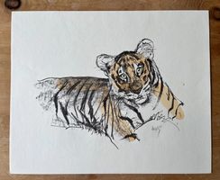 Fritz Hug, Tiger
