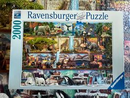 Ravensburger Puzzle 2000 Teile "Grossartige Tierwelt"