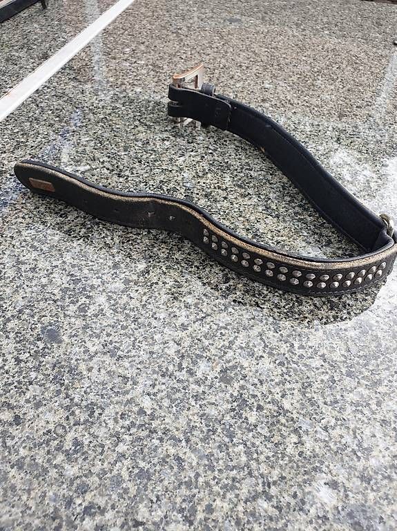 Guinzagli & Collari: Hunde echt Leder Halsband – Usato da Rickenbach LU venduto da trucker.s